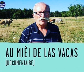 Au milieu des vaches