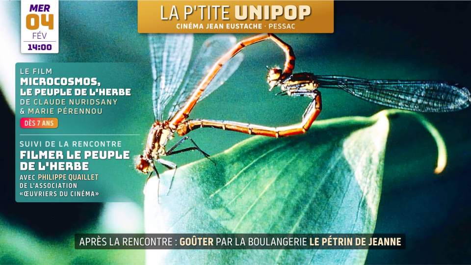 La P&rsquo;tite Unipop : MICROCOSMOS de Claude Nuridsany et Marie Pérennou