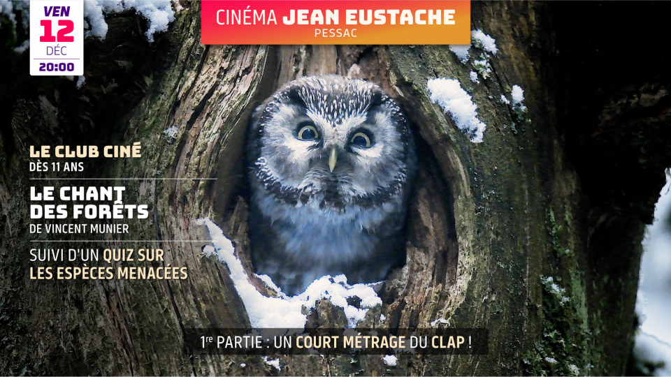 CLUB CINÉ #3 : Avant Première du film LE CHANT DES FORÊTS de Vincent Munier, suivi d’un quiz animé par les Ambassadeurs·rices Club Ciné