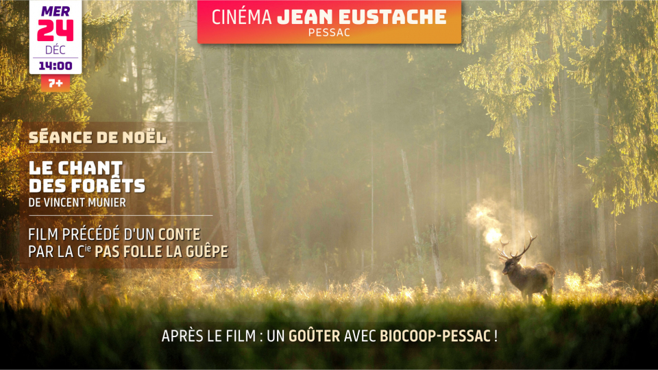 Séance animée de Noël : LE CHANT DES FORÊTS de Vincent Munier (7 ans et +)