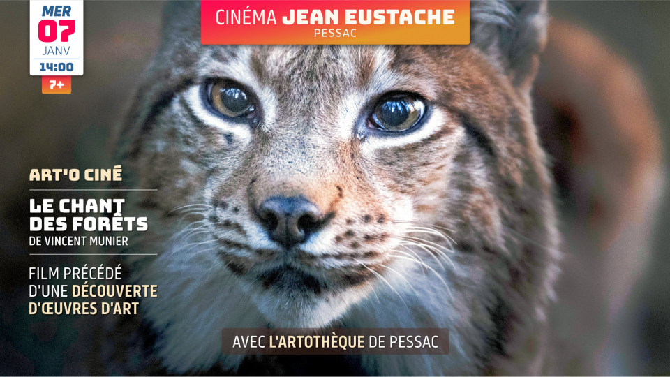 Art&rsquo;o&rsquo;ciné : LE CHANT DES FORÊTS de Vincent Munier (7 ans et +)